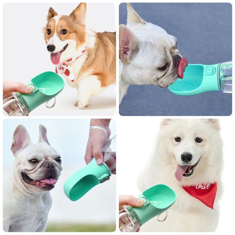 WoofBottle™ – Przenośna butelka dla Twojego najlepszego przyjaciela!